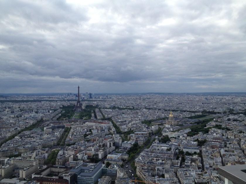 Paris and the Effects of Haussmannization